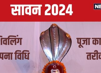 Sawan 2024 Puja Vidhi: सावन में करनी है शिवलिंग स्थापना? शिव पुराण से जानें सही विधि, पूजा करने का तरीका