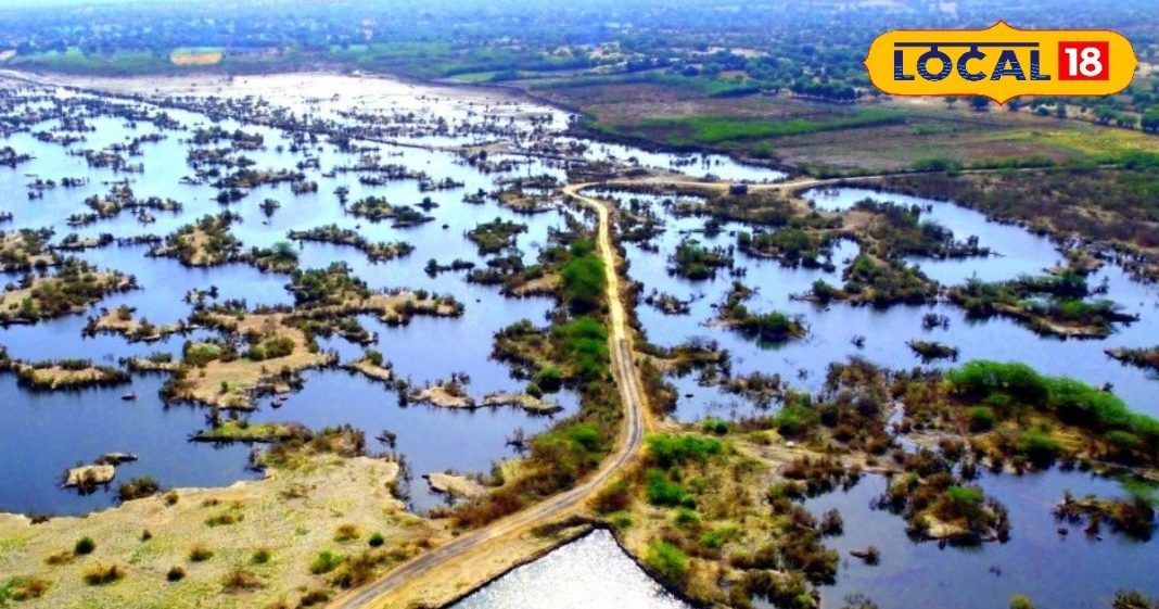 रेगिस्तान में समंदर : रेत के धोरों के बीच मालदीव सा नजारा, 500 से ज्यादा टापू, वजह जान चकरा जाएगा सिर