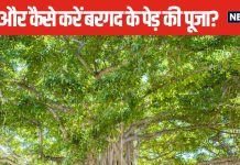 सावन में करें बरगद के पेड़ की पूजा, त्रिदेव का आशीर्वाद पाने का सुनहरा अवसर, इन मंत्रों का जाप जीवन में भर देंगे सुख-समृद्धि
