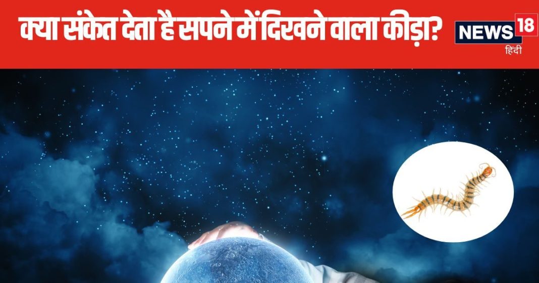 सपने में दिखाई दे ये अजीब कीड़ा, समझ जाएं जीवन में आने वाला है खतरा! लेकिन करियर में तरक्की का भी संकेत
