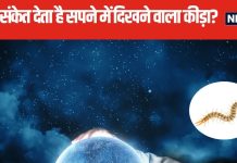 सपने में दिखाई दे ये अजीब कीड़ा, समझ जाएं जीवन में आने वाला है खतरा! लेकिन करियर में तरक्की का भी संकेत