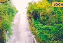 जंगलों के बीच छिपा ‘मिनी कश्मीर’ का ये सीक्रेट वाटरफॉल, बना देगा आपको दीवाना, जरूर करें दीदार