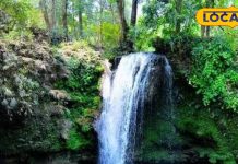 बारिश के मौसम में खतरनाक हो सकते हैं उत्तराखंड के 5 वाटरफॉल