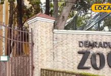 गर्मियों में बच्चों के साथ घूमने का है प्लान, तो चले आइए मालसी डियर पार्क