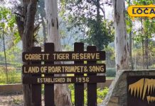 पर्यटक ध्यान दें! बरसात के चलते बंद हुए कॉर्बेट नेशनल पार्क के ये पर्यटन जोन