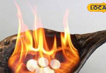 सुबह-शाम करें ये काम, घर बनेगा सुख का धाम, वास्तु दोष हटाएगा कपूर का ऐसा प्रयोग, बढ़ेगी बरकत