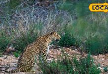 यहां हर रविवार लें अलग-अलग सेंचुरी का मजा, जानें कहां कितने का है टिकट, ऑनलाइन भी कर सकते हैं बुकिंग