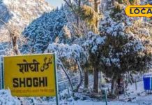 दिल्ली से सिर्फ 5 घंटे दूर है यह हिल स्टेशन, शिमला-मनाली को करता है फेल, नहीं है स्वर्ग से कम