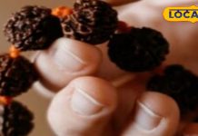 राशि अनुसार पहनें रुद्राक्ष की माला,चमक जाएगी किस्मत,आचार्य से जानें कैसे