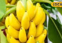 सस्ता फल लेकिन सेहत के लिए रामबाण, वजन होगा कम, दिल और पाचन को रखेगा एकदम फिट