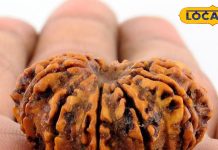 बदल जाएगी जिंदगी…शनिदोष को शांत करने के लिए धारण करें ये रुद्राक्ष, तुरंत दिखेगा असर-Wearing 12 Mukhi Rudraksha gives relief from Shani Dosh