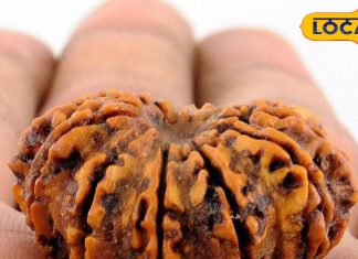 बदल जाएगी जिंदगी…शनिदोष को शांत करने के लिए धारण करें ये रुद्राक्ष, तुरंत दिखेगा असर-Wearing 12 Mukhi Rudraksha gives relief from Shani Dosh