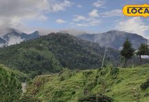 किसी जन्नत से कम नहीं है नैनीताल का ये छोटा सा गांव…बारिश के बाद लगता है बुग्याल