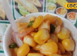 बरसात का हेल्दी स्ट्रीट फूड, सेहत का रखते हैं ख्याल तो ट्राई करें ये रेसिपी, वजन भी नहीं बढ़ेगा