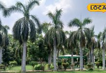 सुकून या फैमिली के साथ मस्ती, ये हैं गाजियाबाद के 5 खास पार्क, एडवेंचर के साथ