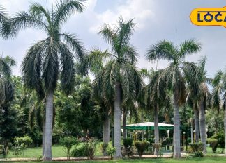 सुकून या फैमिली के साथ मस्ती, ये हैं गाजियाबाद के 5 खास पार्क, एडवेंचर के साथ