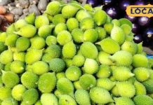 बारिश में कुछ ही दिन मिलता है दुनिया का सबसे ताकतवर माना जाने वाला यह फल