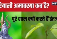 Hariyali Amavasya 2024 Date: कब है हरियाली अमावस्या? 4 शुभ संयोग में होगा स्नान-दान, जानें मुहूर्त, क्यों रहता है पूरे साल इंतजार