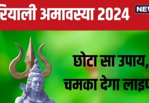 Hariyali Amavasya 2024: हरियाली अमावस्या पर पितर होंगे खुश, ग्रह दोष मुक्ति के साथ मिलेगी सुख-समृद्धि, बस करें छोटा सा ये उपाय