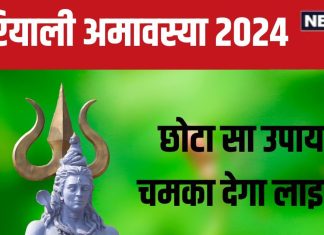 Hariyali Amavasya 2024: हरियाली अमावस्या पर पितर होंगे खुश, ग्रह दोष मुक्ति के साथ मिलेगी सुख-समृद्धि, बस करें छोटा सा ये उपाय
