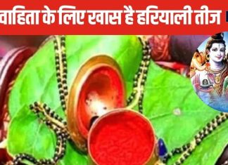 पहली बार रख रहीं हैं हरियाली तीज का व्रत, नवविवाहितों इन खास बातों का रखना होगा ख्याल, जरूर पढ़ें व्रत कथा