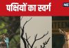 Keoladeo National park: पक्षियों के स्वर्ग में वीकेंड, दिल्ली से सिर्फ 3 घंटे दूर है ये ‘साइकिल-सफारी’