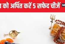 सावन में दूध, दही सहित इन 5 चीजों से करें महादेव का अभिषेक, खुशियों से भर जाएगी झोली, दुख-दर्द होंगे कोसों दूर!