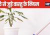99 प्रतिशत लोग पोछा लगाने में करते हैं 1 ही गलती, किस समय पोछा नहीं लगाना चाहिए? जानें वास्तु के नियम