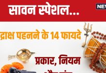 Sawan 2024 Rudraksha Mantra: 14 प्रकार के होते हैं रुद्राक्ष, धारण करने के लिए है विशेष मंत्र, शिव पुराण से जानें फायदे