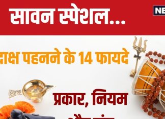 Sawan 2024 Rudraksha Mantra: 14 प्रकार के होते हैं रुद्राक्ष, धारण करने के लिए है विशेष मंत्र, शिव पुराण से जानें फायदे