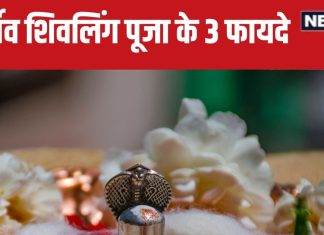 Sawan 2024 Parthiv Shivling Puja: सावन में कैसे करें पार्थिव शिवलिंग की पूजा? शिव पुराण से जानें पूजन सामग्री, विधि, 3 फायदे