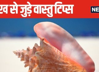 घर में शंख रखना है बेहद शुभ, लेकिन सही जगह का पता होना भी है जरूरी, ये 4 फायदे दूर करेंगे आपकी हर समस्या!