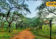 दिल्ली में मौजूद इन खूबसूरत जगहों की करें सैर, आ जाएगा मजा, बच्चे भी हो जाएंगे खुश