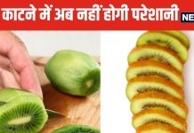Tips to cut Kiwi: कीवी फल काटने में होती है परेशानी, 4 तरीके से प्रॉपर कटेगा शेप में, एक बार आजमाकर देखें