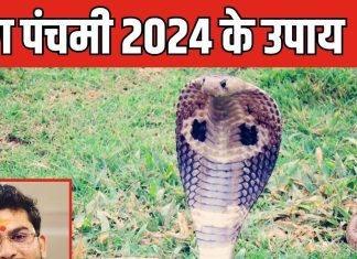 Nag Panchami 2024: नाग पंचमी के दिन कर लो बस ये एक काम, कुंडली में राहु-केतु हो जाएंगे बेअसर