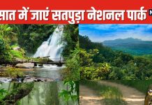 बरसात में जंगल की हरियाली का लेना है मजा? पहुंचें सतपुड़ा नेशनल पार्क, मौज मस्ती के साथ उठा सकेंगे हरियाली का मजा