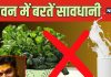 आज है सावन का पहला सोमवार, भोले बाबा के इस महीने में, कढ़ी, बैंगन, दही समेत इन चीजों से कर लें तौबा