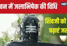 Sawan 2024 Jalabhishek Niyam: शिवलिंग पर डालते हैं जल की तेज धार? गलत है जलाभिषेक का यह तरीका, जानें जल चढ़ाने की विधि