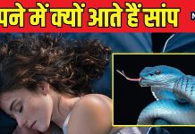 क्या आपको भी सपने में दिखते हैं सांप? क्या अशुभ है हरे नाग का दिखना! जानें क्या है आपके सपने का मतलब