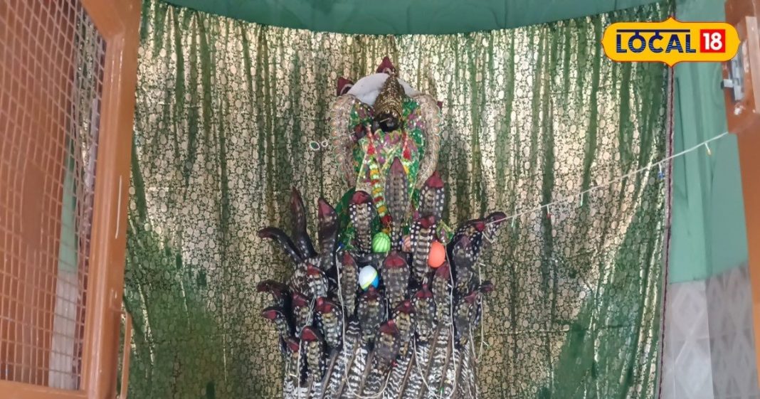 यमुना किनारे गेंद खेलने आए थे ये बालक, तभी इस