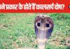 1 नहीं, बल्की 12 तरह के होते हैं कालसर्प दोष, इससे जीवन में बढ़ती हैं अनेक परेशानियां, जानें इनके बारे में