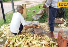 देसी हो या विदेशी बारिश में सबकी पहली पसंद है ये चीज, लाइन लगाकर लेते हैं लोग