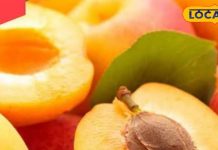 कमाल का है इस फल का बीज, कई बीमारियों को कर देगा छूमंतर; जानें कैसे करें इस्तेमाल