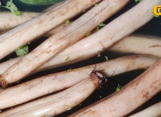 पाचन या बढ़ते शुगर लेवल से हैं परेशान, तो इस सब्जी का करें सेवन, दूर हो…