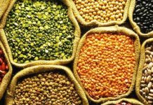 इस दाल का तोड़ नहीं! नॉनवेज जितनी फायदेमंद, शरीर को बना देगी बलशाली