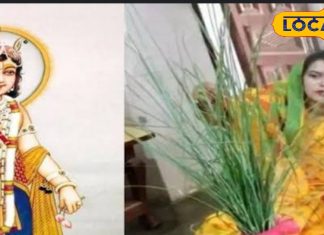 25 को मनेगा विंध्य का सबसे बड़ा त्यौहार हल छठ, जानिए मुहूर्त और पूजा विधि