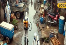 कोरबा में पैर पसार रहा डेंगू, एक युवक की मौत, यह एरिया बना हॉटस्पॉट