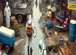 कोरबा में पैर पसार रहा डेंगू, एक युवक की मौत, यह एरिया बना हॉटस्पॉट