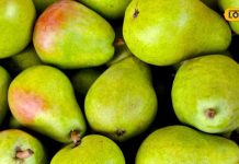 बरसात में केवल 2 महीने के लिए बाजार में आता है ये फल, स्वाद के साथ सेहत का भी रखता है ख्याल