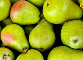 बरसात में केवल 2 महीने के लिए बाजार में आता है ये फल, स्वाद के साथ सेहत का भी रखता है ख्याल